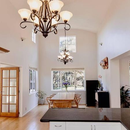 Modern Lifestyle Retreat With Stunning City View Auckland Eksteriør billede
