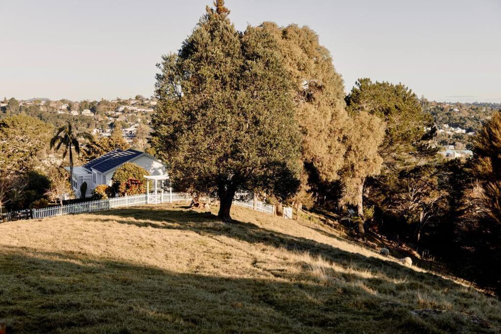 Modern Lifestyle Retreat With Stunning City View Auckland Eksteriør billede